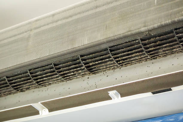 Best Ductwork Cleaning Services  in St Joseph, MI